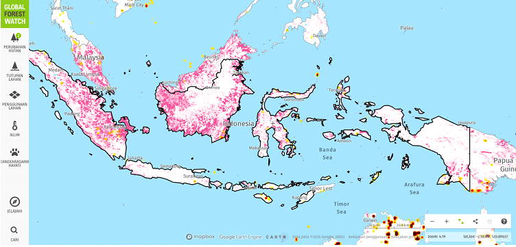 gfw-maps